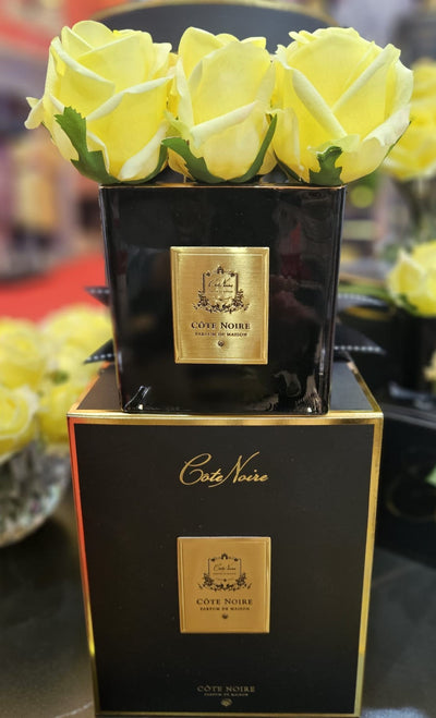 Cote Noire Couture 9 Rose Buds - Square Black Vase - Gold & Yellow - SVB908