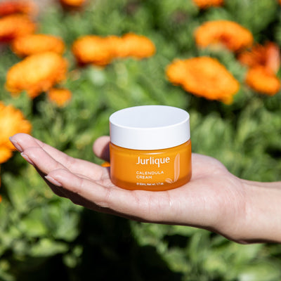 Calendula Cream XDaySale