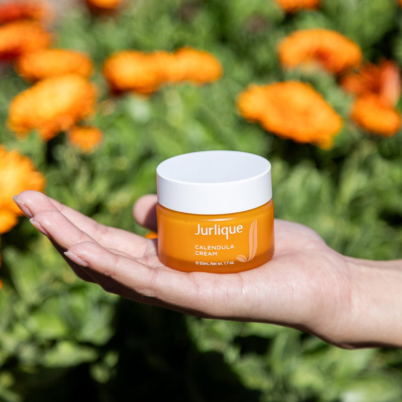 Calendula Cream XDaySale