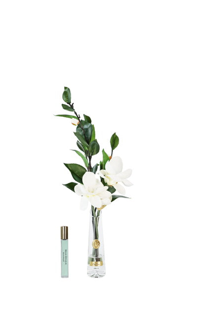 Cote Noire Summer Magnolia - White & Gold -NEW- SMG01