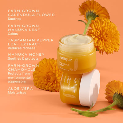 Calendula Cream XDaySale