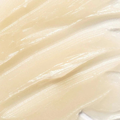 PAYOT NUTRICIA Lip Balm 6g