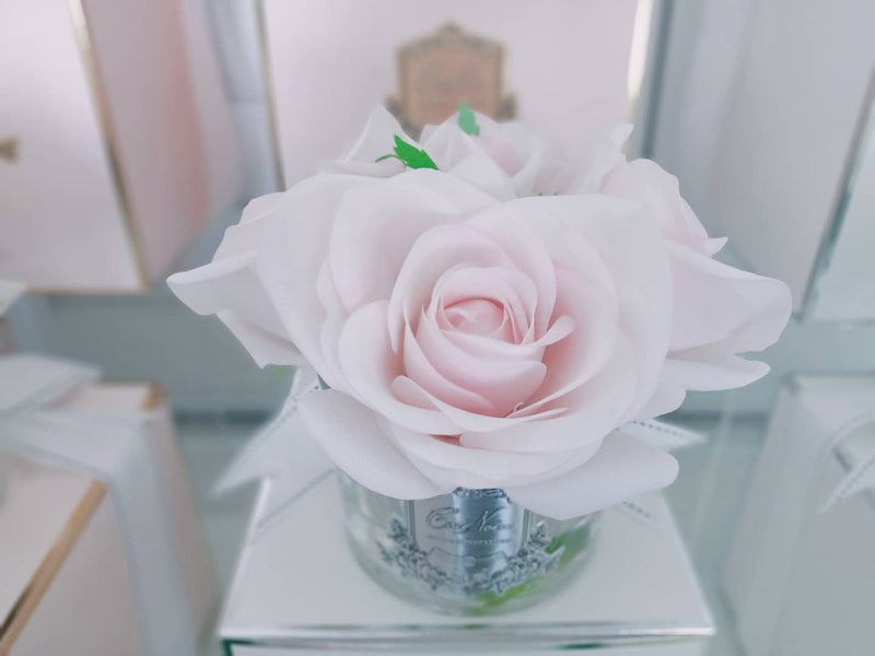 Cote Noire Perfumed Natural Touch 5 Roses - Clear - French Pink - GMR66 XDaySale