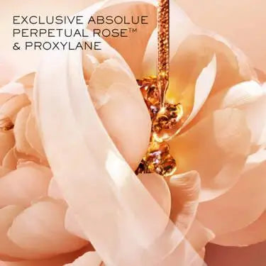 Lancome - Absolue Light Cream Refill 60ml XDaySale