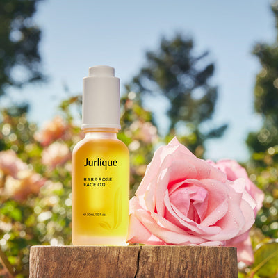 Jurlique Rare Rose Face Oil Jurlique
