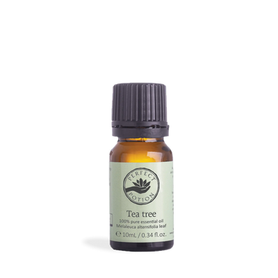 Perfect Potion Tea Tree Pure Essential Oil 10mL Perfect Potion