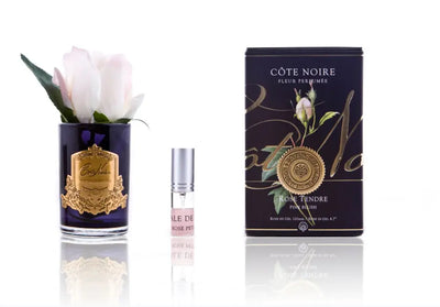 Cote Noire Perfumed Natural Touch Rose Bud - Black - Pink Blush - GMRB42 Cote Noire